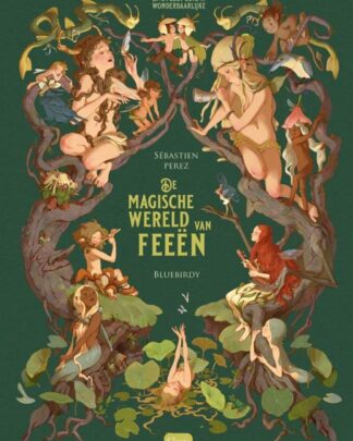 Prentenboek - De magische wereld van feeën